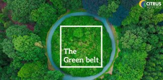 Citrus Green Belt Main – Homz N Space