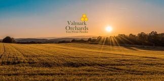 Valmark Orchards Devanahalli Main A