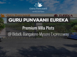 guru punvaanii eureka plots homz n space ph