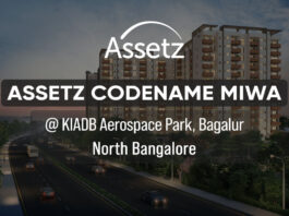 asstez codename miwa assetz sora and saki ph homz n space